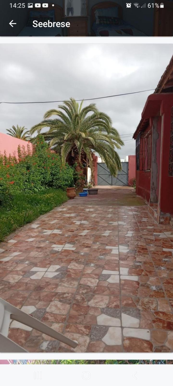 Palmtree Bed & Breakfast El Jadida Exterior photo